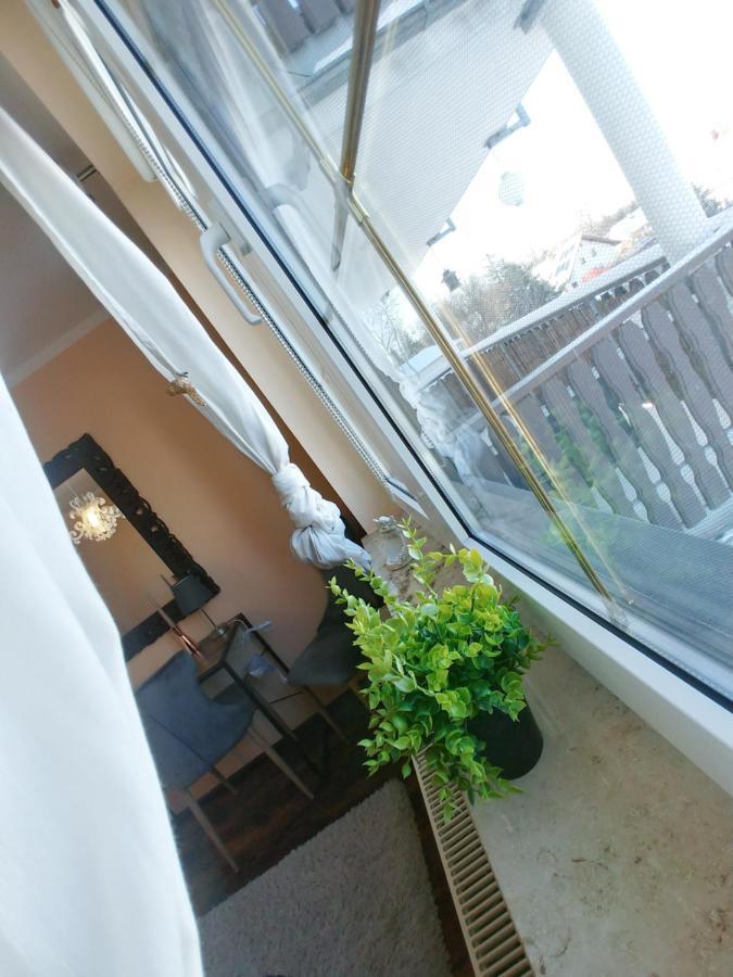 Wohlfuehlzeit Im Zittauer Gebirge Apartment Exterior photo